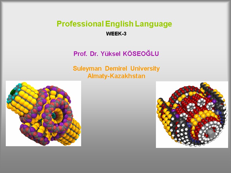 Professional English Language     WEEK-3   Prof. Dr. Yüksel KÖSEOĞLU
